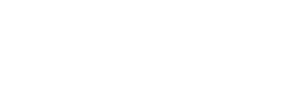 Blockchain junction Footer logo white