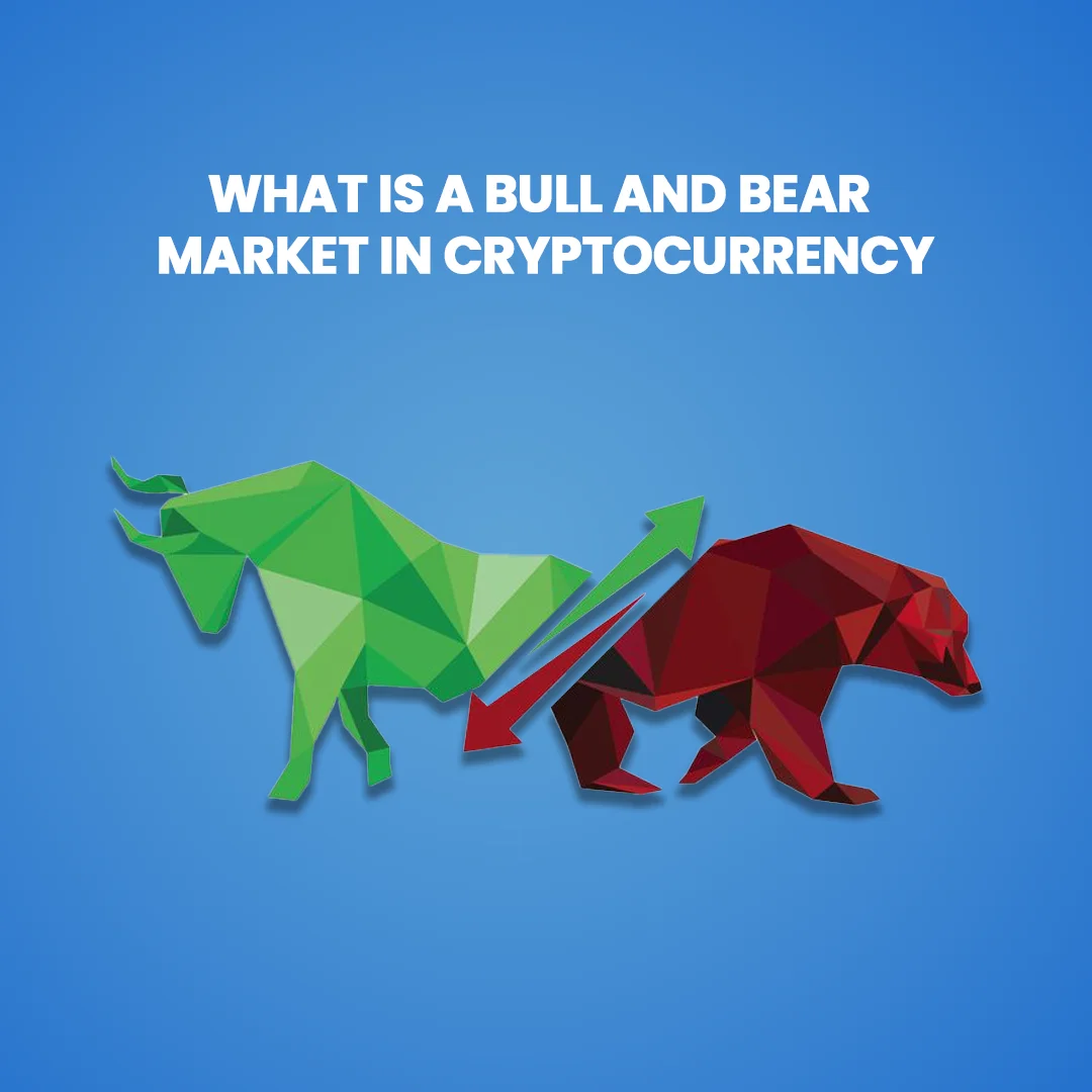 what is a bull and bear market in cryptocurrency